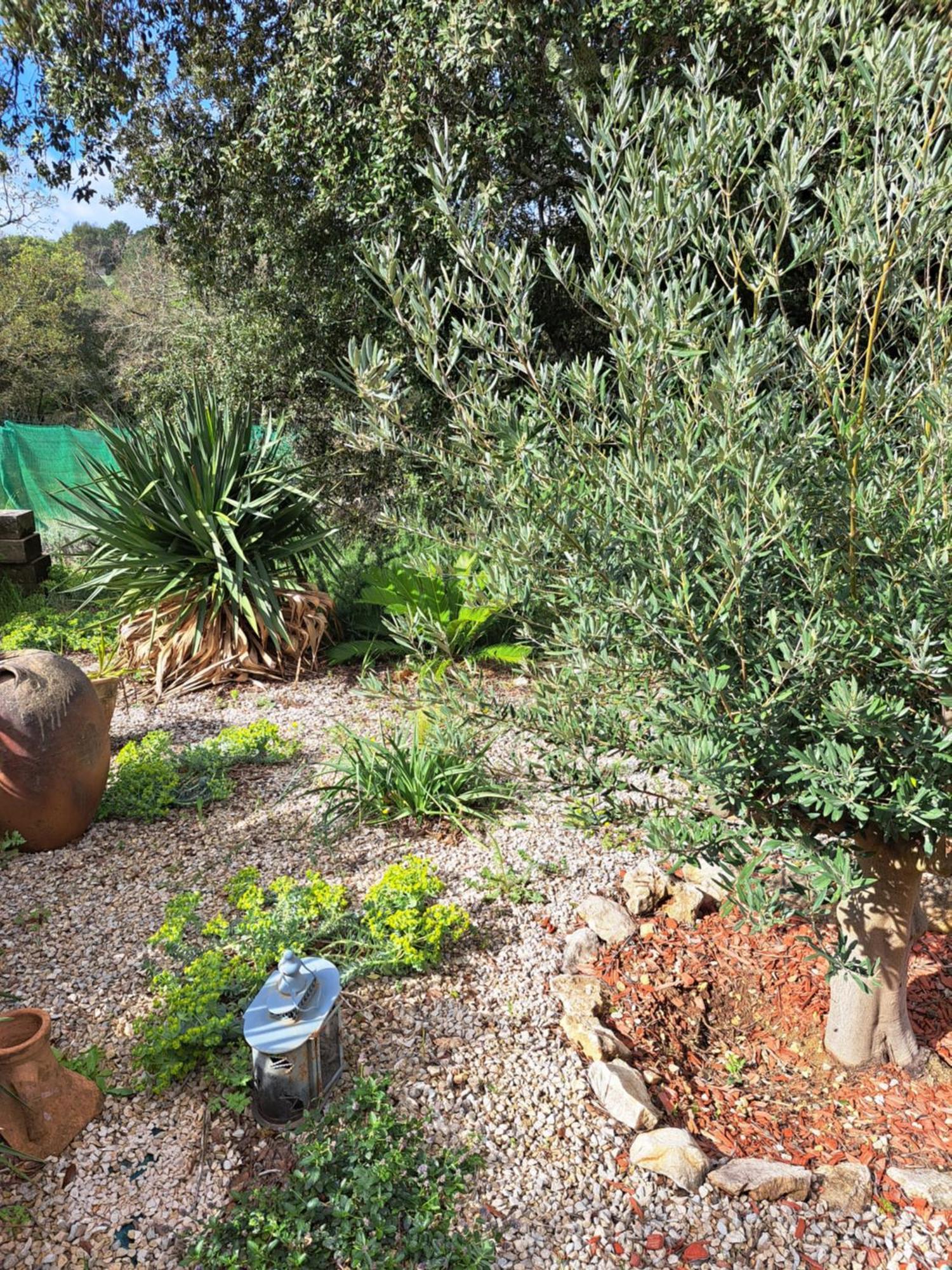 Le Calme De La Garrigue Bed and Breakfast Russan Exteriör bild