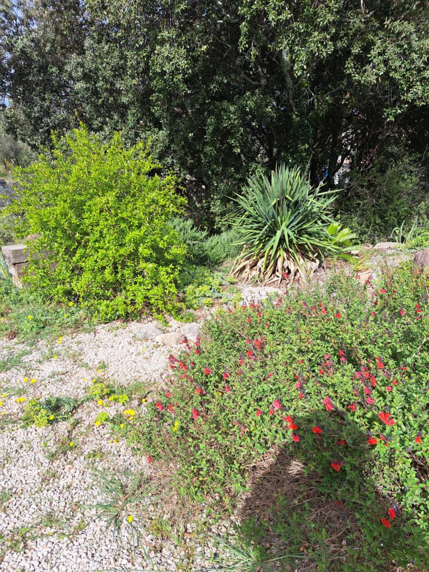 Le Calme De La Garrigue Bed and Breakfast Russan Exteriör bild