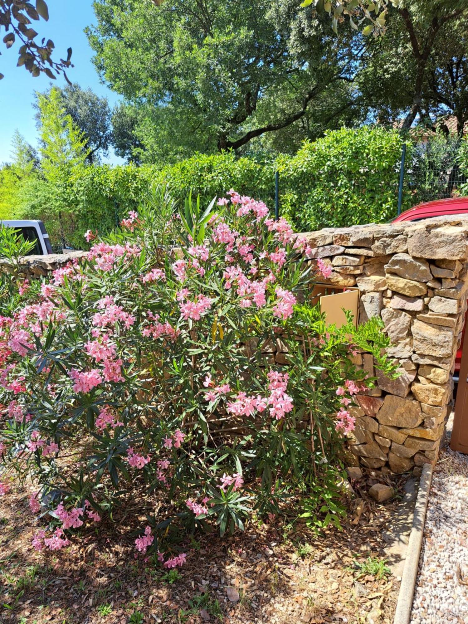 Le Calme De La Garrigue Bed and Breakfast Russan Exteriör bild